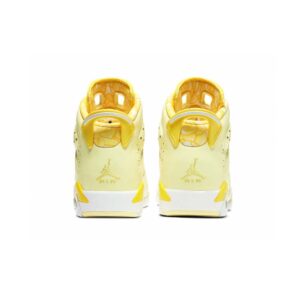Jordan Air Jordan 6 GS “Floral”